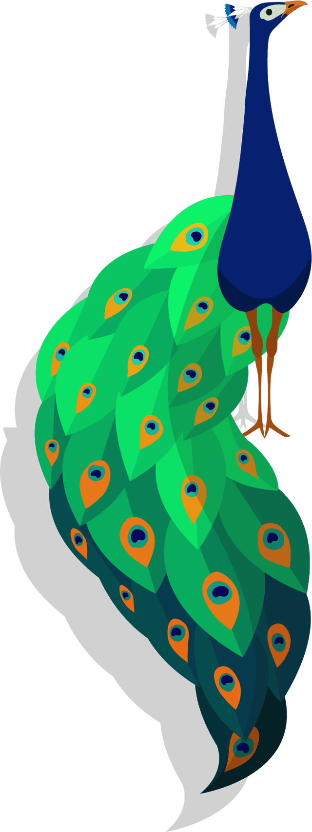 Peacock